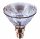 flood light bulbs for more